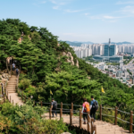 매봉공원 추진위원회, 매봉산 개발 사업의 신속한 진행을 요구하며 청주시에 강력 촉구